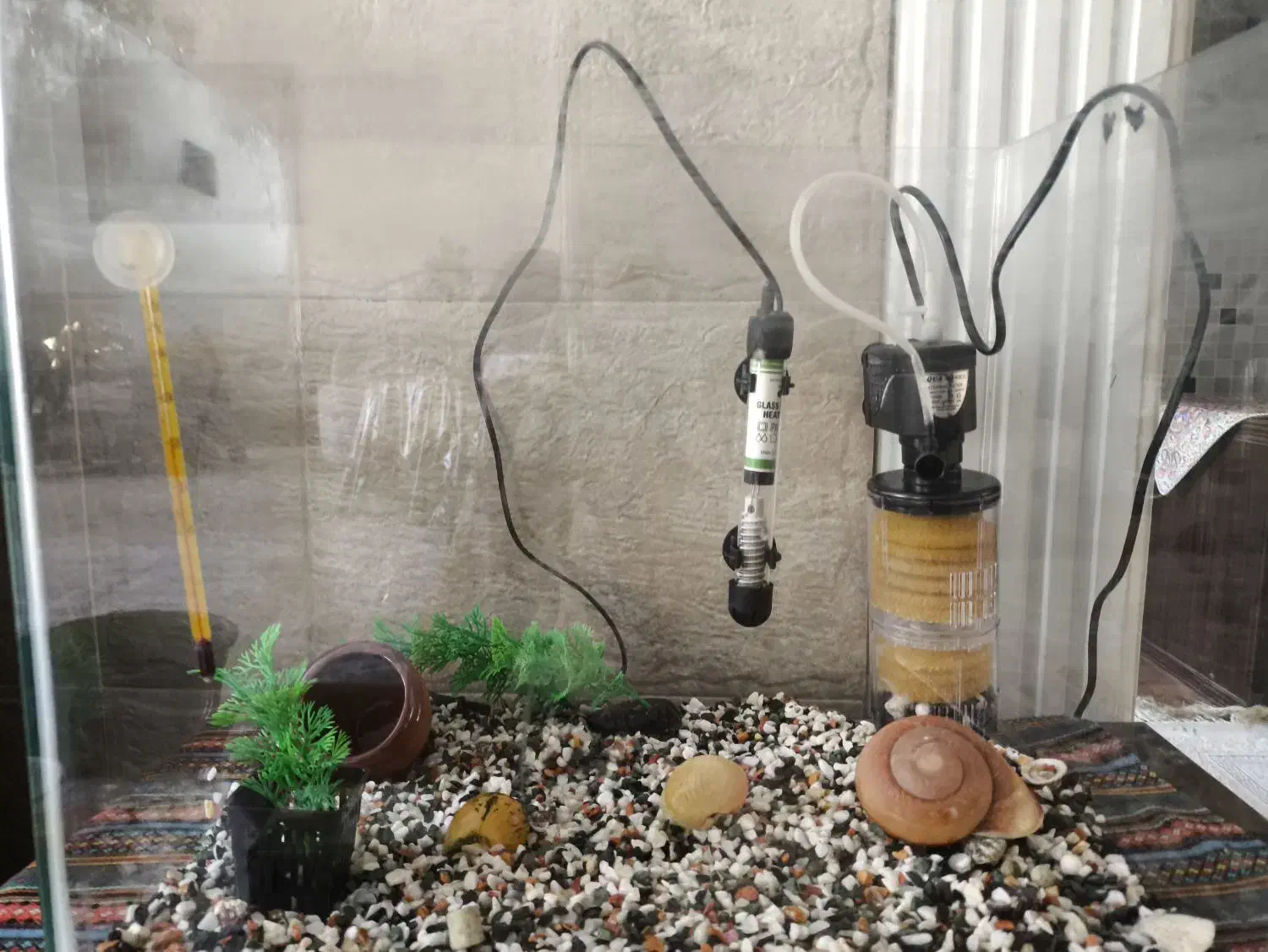 آکواریوم ۶۰لیتر با تمام لوازم نو برای همه نوع ماهی|ماهی|قزوین, |دیوار