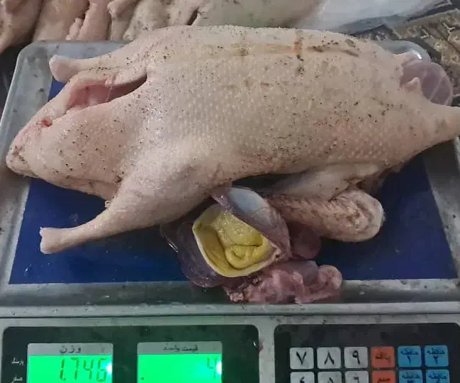 اردک محلی|خوردنی و آشامیدنی|جویبار, |دیوار