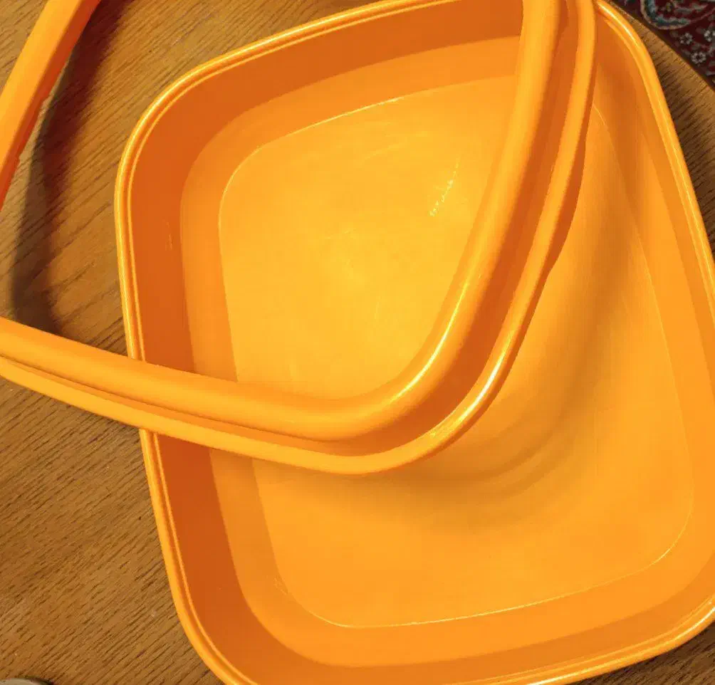 ظرف غذا و ظرف خاک گربه|گربه|کرج, فاز ۱ مهرشهر|دیوار