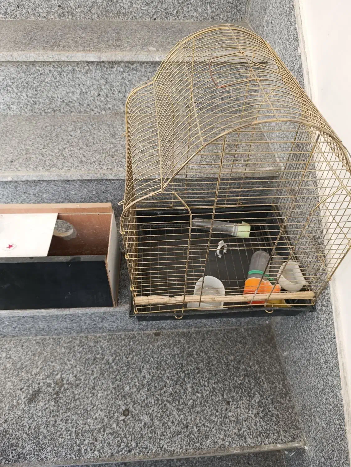 فروش قفس عروس هلندی 600000تومان|لوازم جانبی حیوانات|مرند, |دیوار