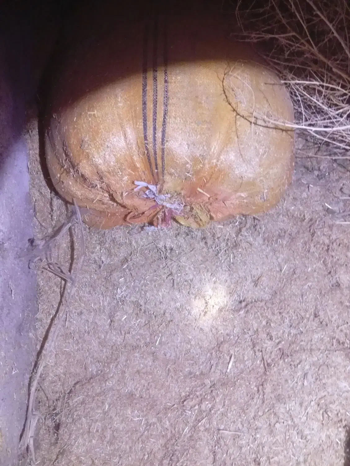 کاه|لوازم جانبی حیوانات|سملقان, |دیوار