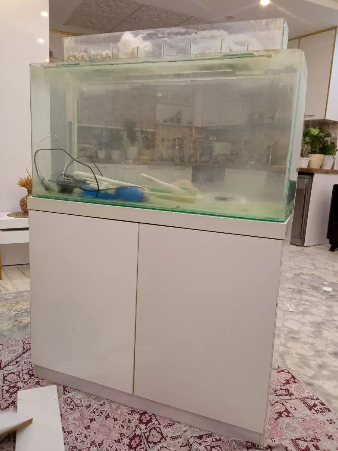 آکواریوم همراه با میز|ماهی|رشت, پیرکلاچای|دیوار