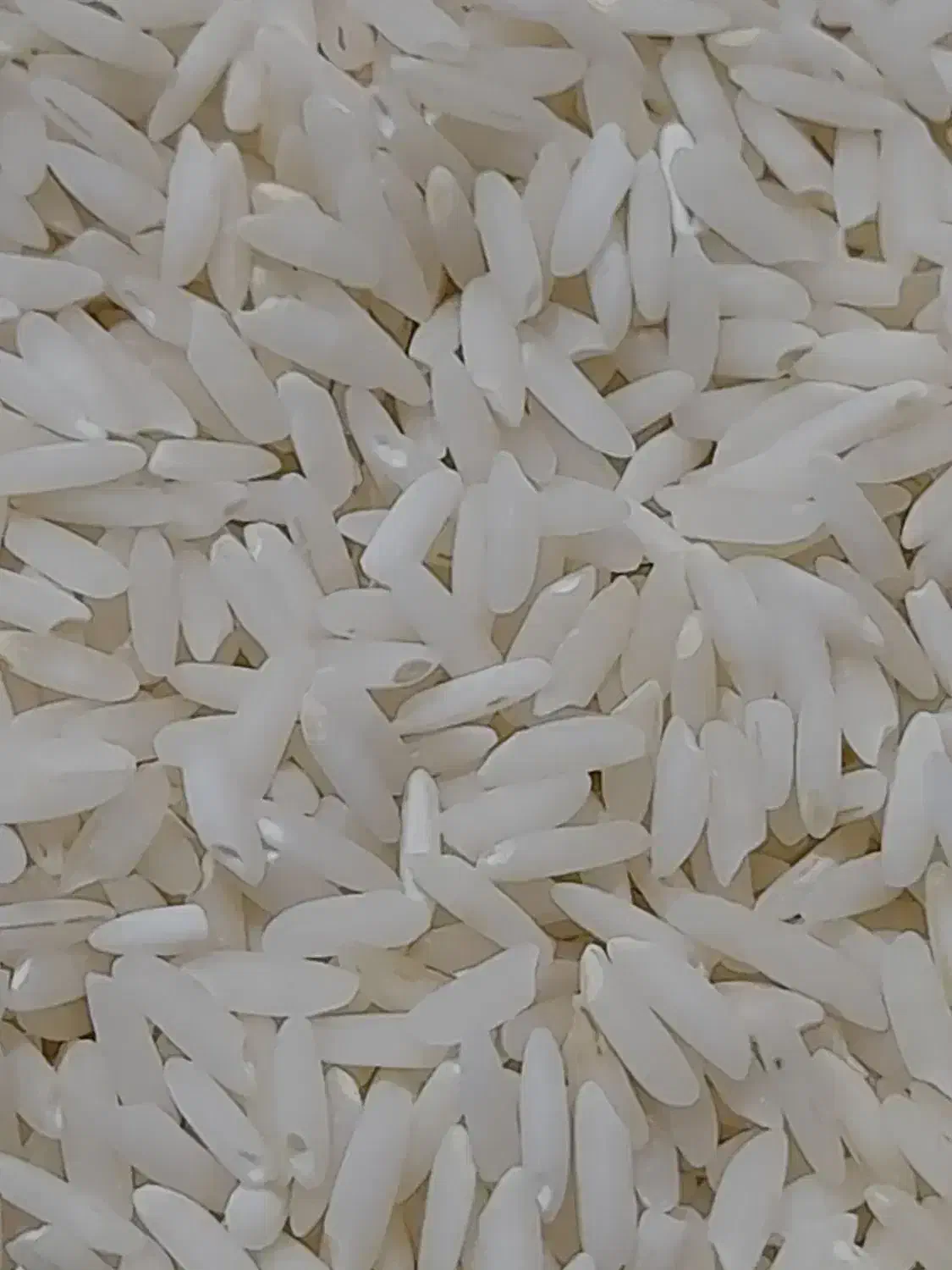 برنج میانه اعلا*خالص*|خوردنی و آشامیدنی|تبریز, |دیوار