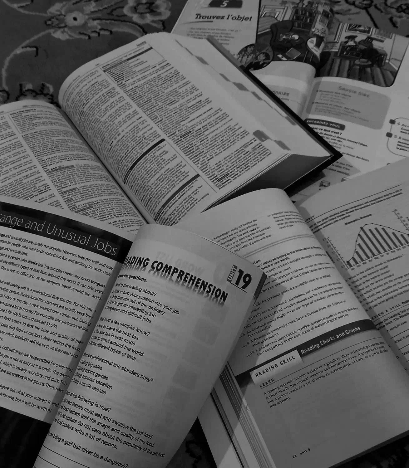 معلم خصوصی زبان انگلیسی|خدمات آموزشی|تهران, منیریه|دیوار