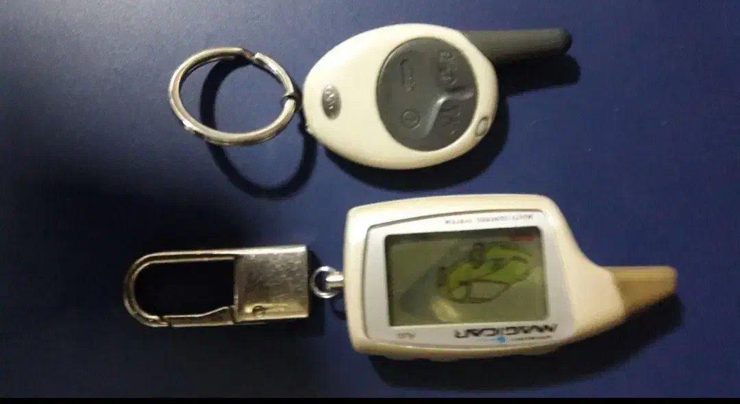 آژیر دزدگیر|قطعات یدکی و لوازم جانبی|تهران, شهرک محلاتی|دیوار