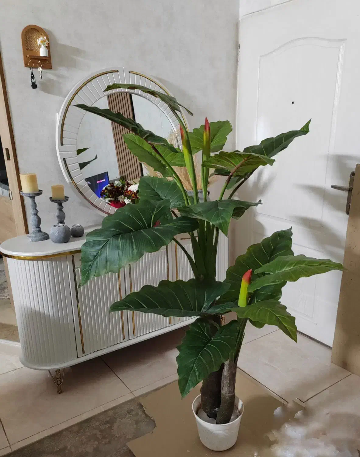 درختچه بابا آدم|گل مصنوعی|قزوین, |دیوار