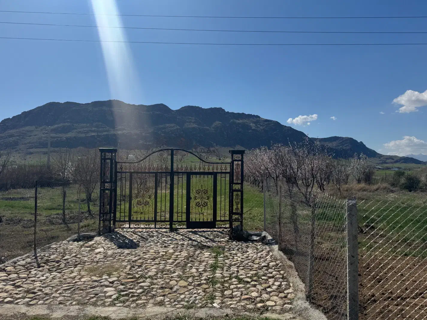 باغ ۱۲۰۰ متری در مجموعه باغی تجره، ده دقیقه تا شهر|فروش دفتر صنعتی، کشاورزی، تجاری|خرمآباد, |دیوار