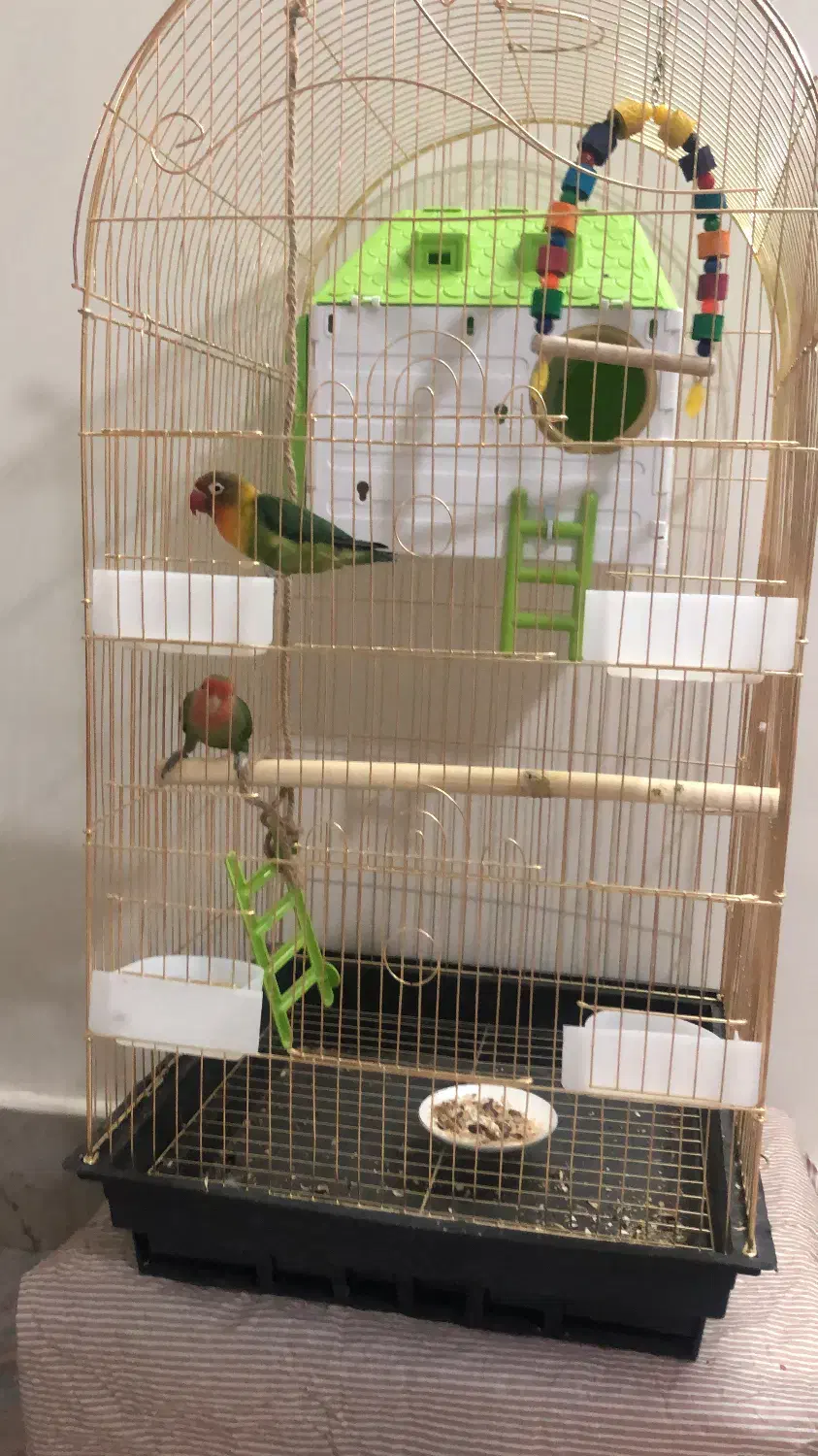 قفس پرنده|لوازم جانبی حیوانات|ری, شهرری|دیوار