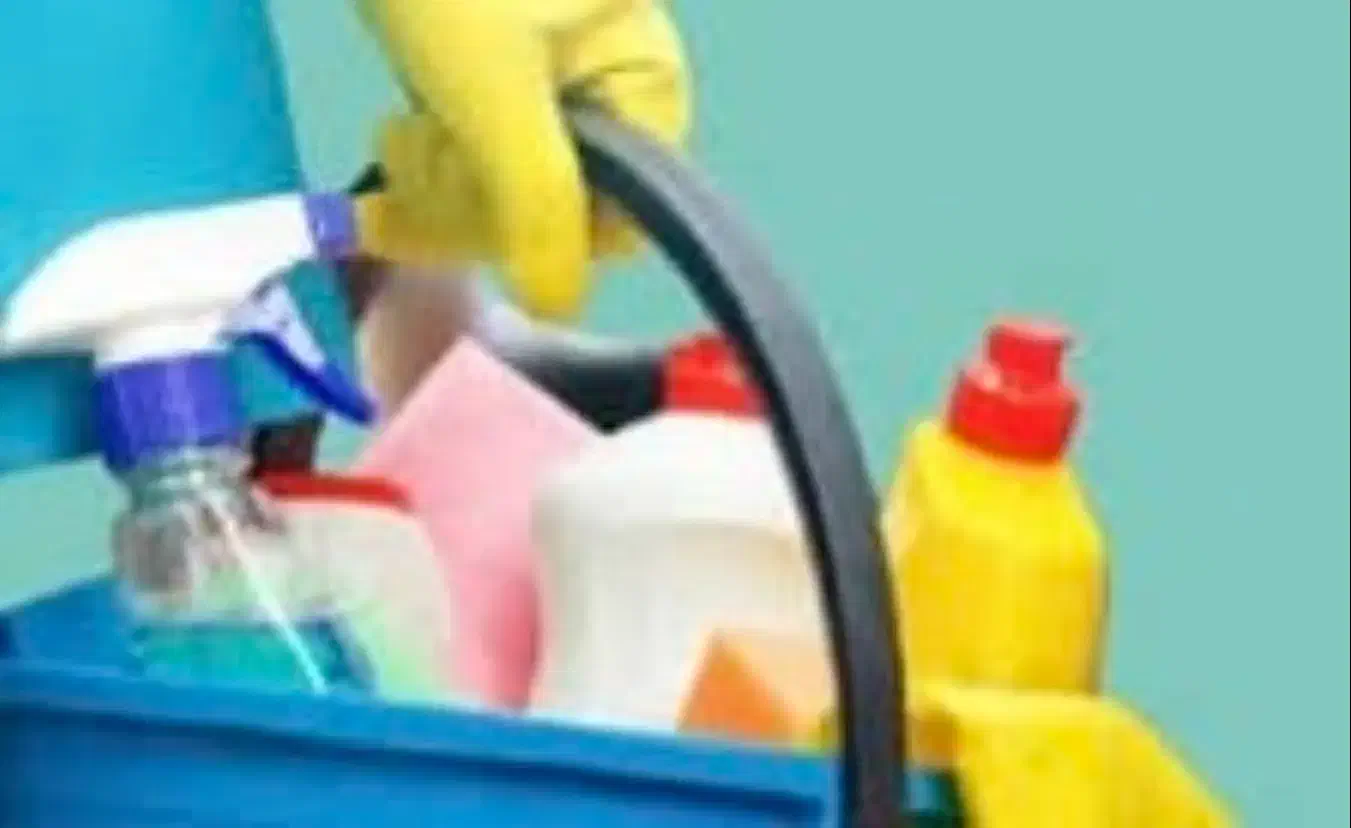 نظافت ویلای یک خوابه|استخدام سرایداری و نظافت|گلبهار, شهر جدید گلبهار|دیوار