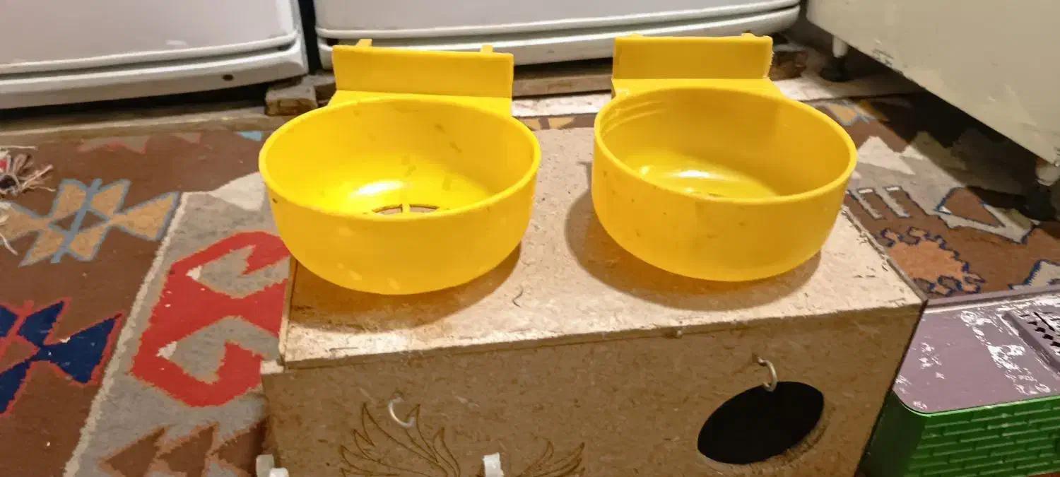 لوازم جانبی پرنده|لوازم جانبی حیوانات|تهران, افسریه شمالی|دیوار