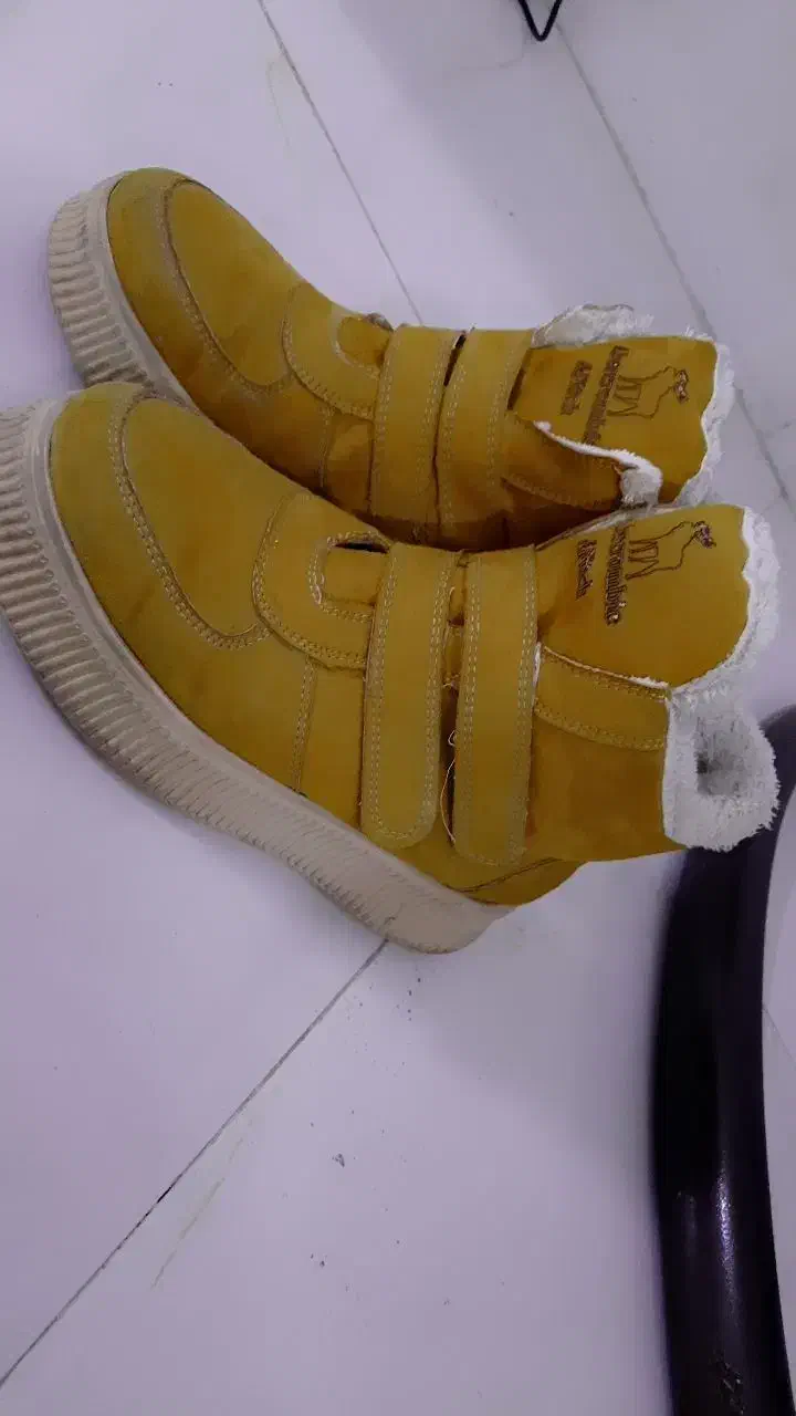 کفش و کاپشن درحدنو|لباس|مرند, |دیوار