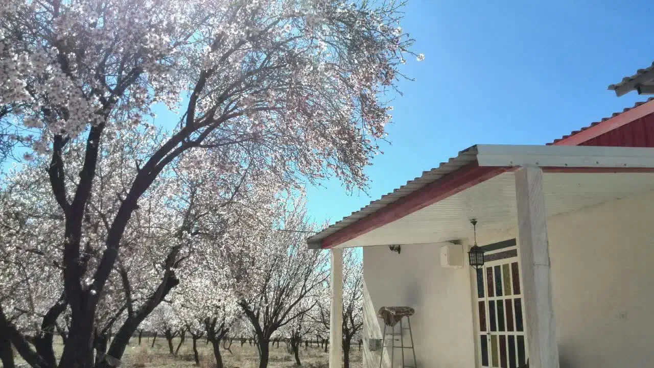 فروش خانه ویلایی ۱۰۰ متری ۲ خوابه|فروش خانه و ویلا|دهج, |دیوار