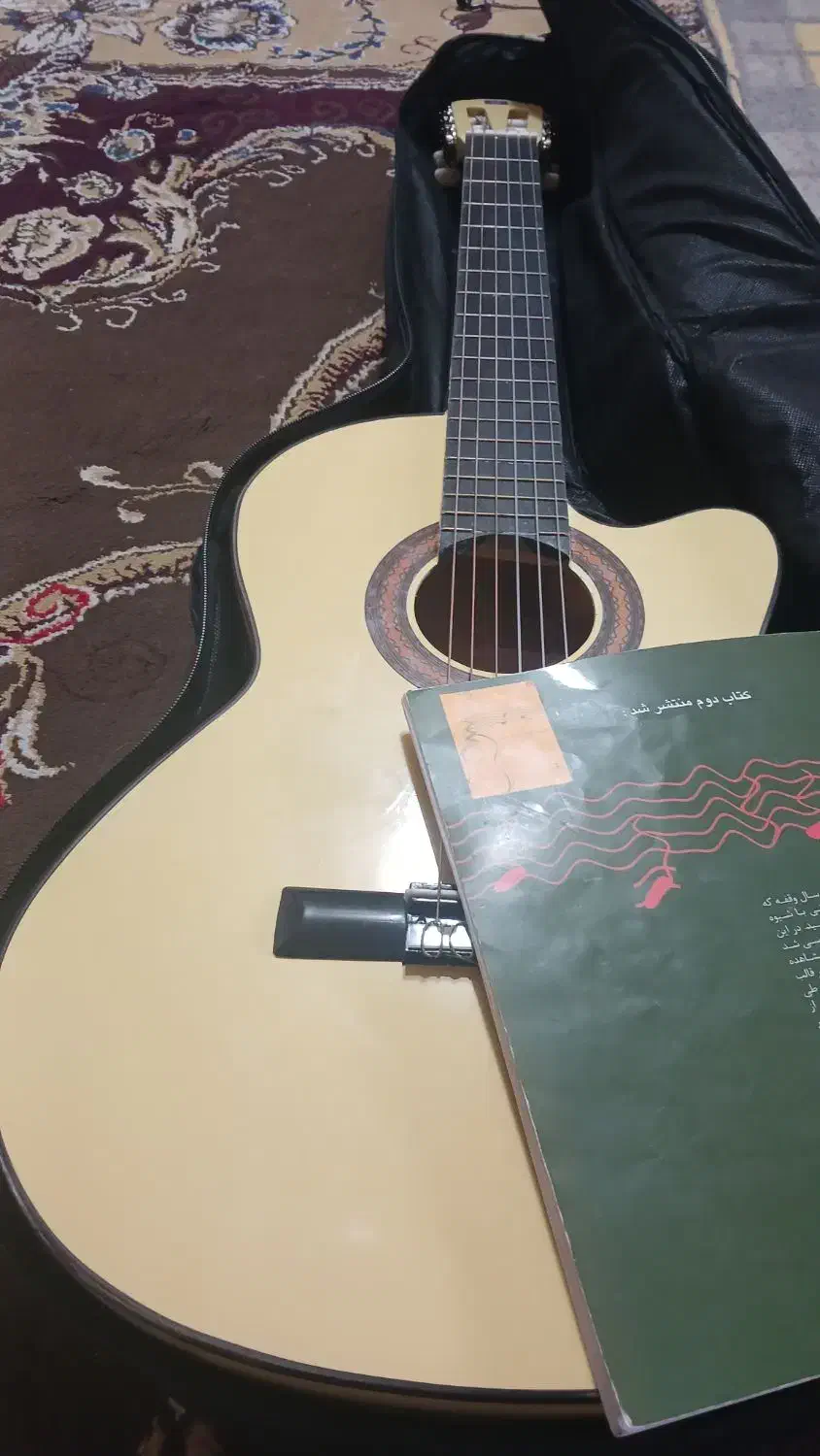 گیتار .کتاب. کیف.|گیتار، بیس، امپلیفایر|یاسوج, |دیوار