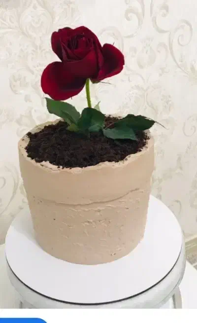 کیک روز مادر|خوردنی و آشامیدنی|سبزوار, طبرسی (جعفرآباد)|دیوار