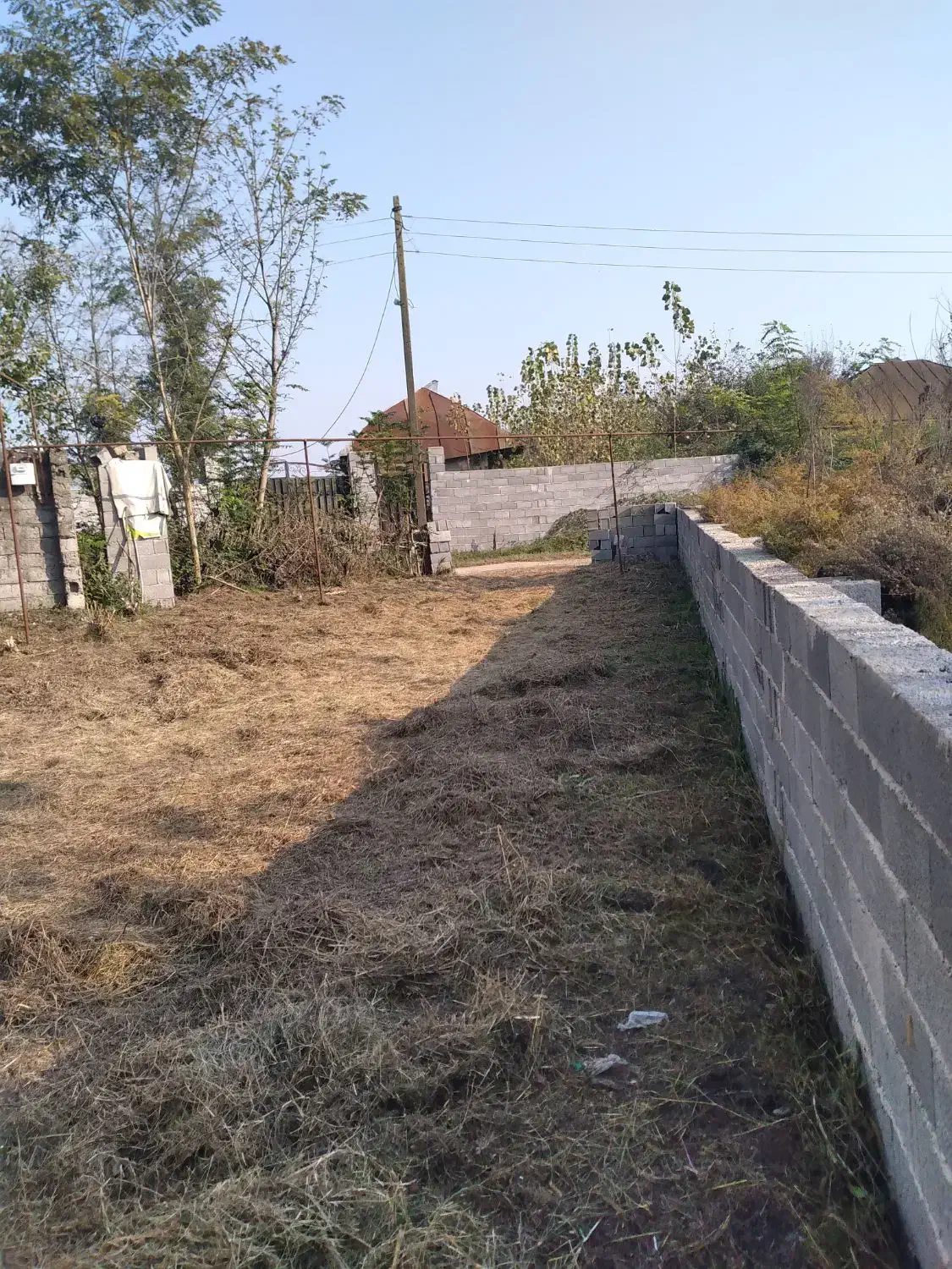 1400متر مسکونی همراه با خانه6000متر شالیزار|فروش زمین و ملک کلنگی|لولمان, |دیوار
