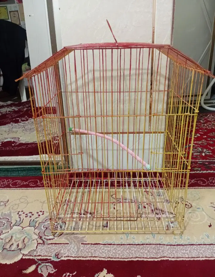 قفس|لوازم جانبی حیوانات|لنجان, |دیوار