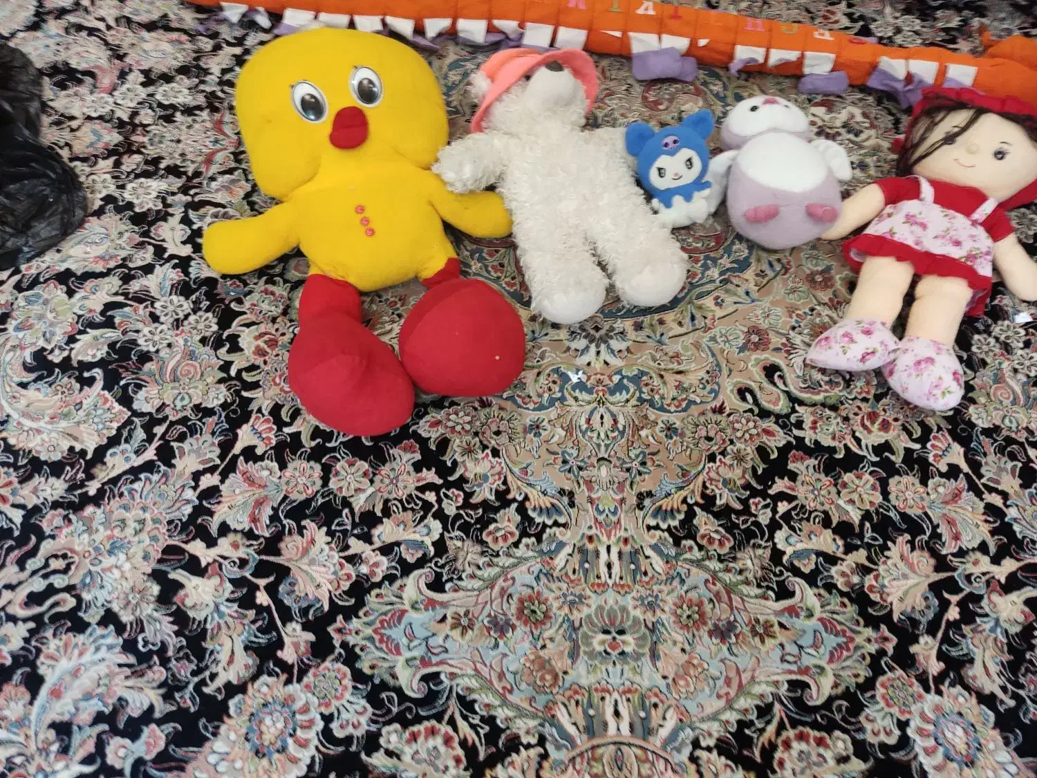 عروسک|اسباب‌‌بازی|شیراز, سعدیه شمالی|دیوار