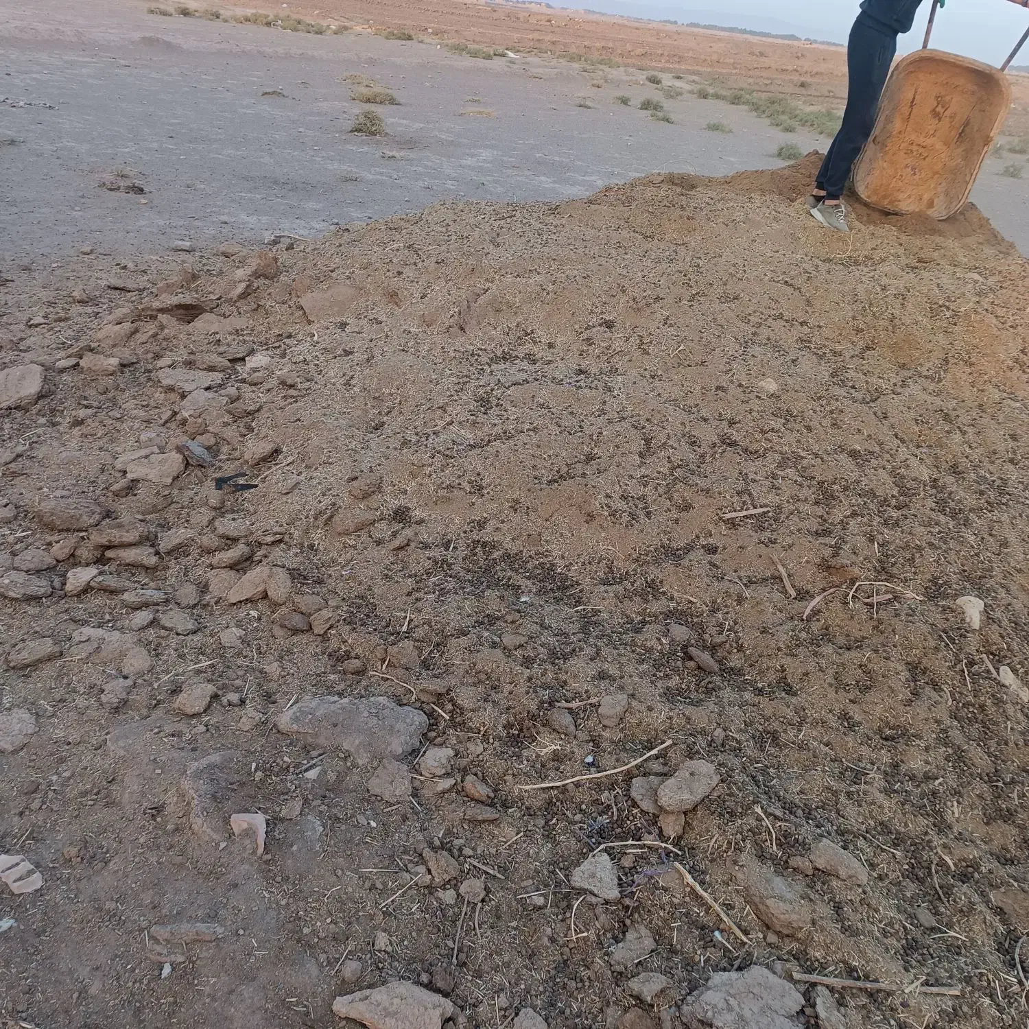 بار کود گوسفند|حیوانات مزرعه|سبزوار, قصبه شرقی|دیوار