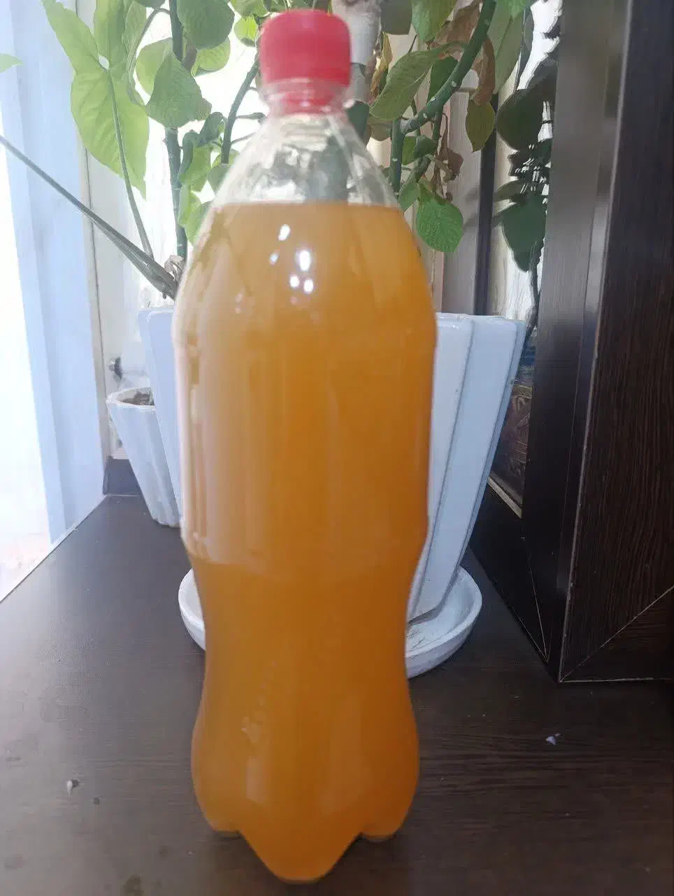 سرکه سیب طبیعی و خانگی با طعم عالی|خوردنی و آشامیدنی|تهران, دژکام|دیوار