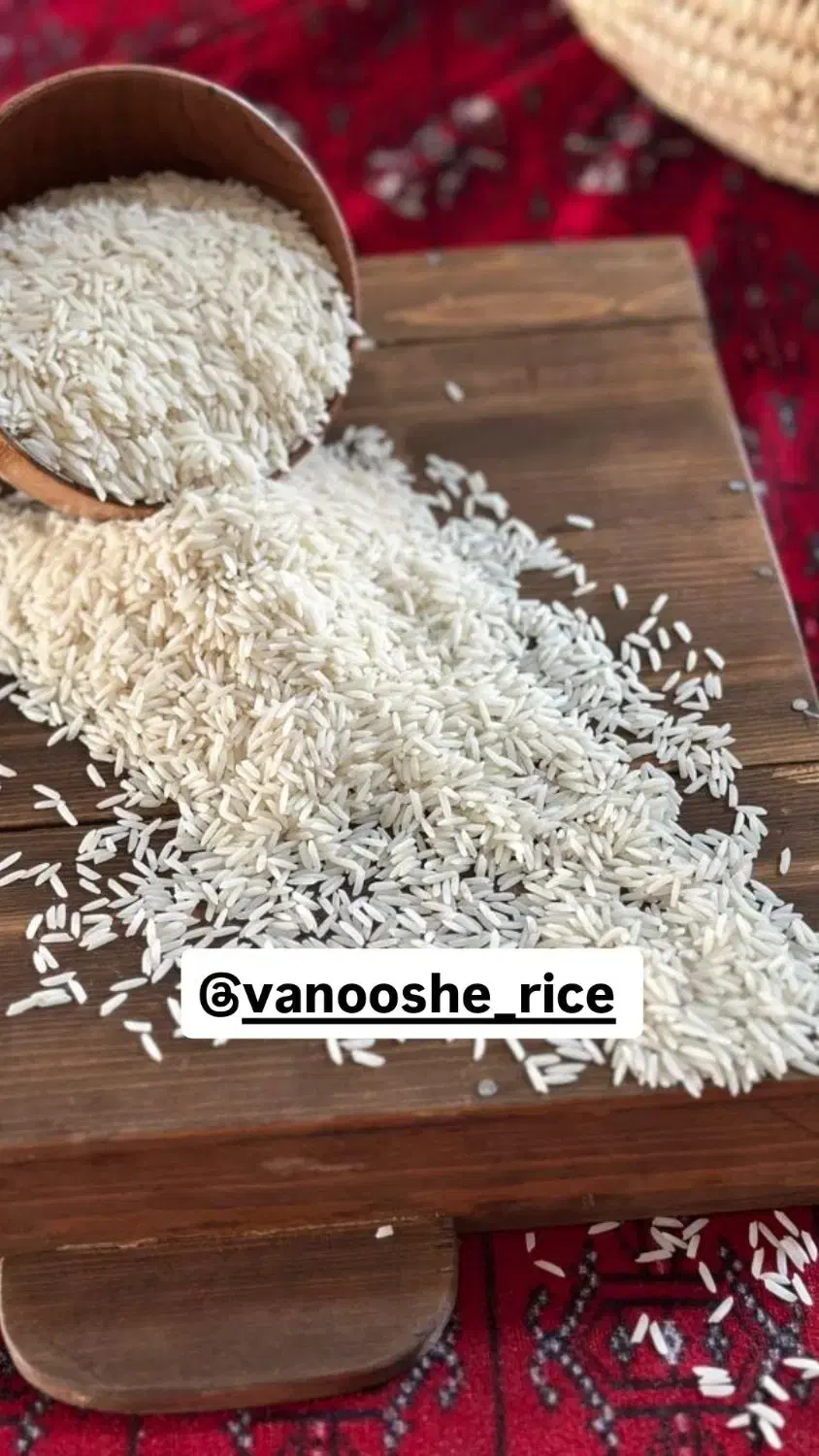 برنج طارم هاشمی ونوشه عطری خالص به شرط پخت|خوردنی و آشامیدنی|پردیس, فاز ۸|دیوار