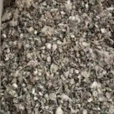 بار کبوتر|لوازم جانبی حیوانات|عطاملک, |دیوار