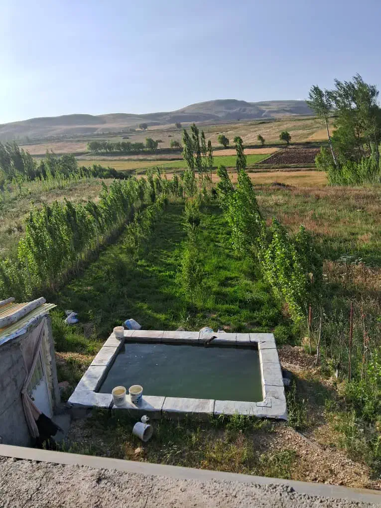 فروش باغچه ۵۰۰ متری سند تک برگ|فروش زمین و ملک کلنگی|خلخال, |دیوار