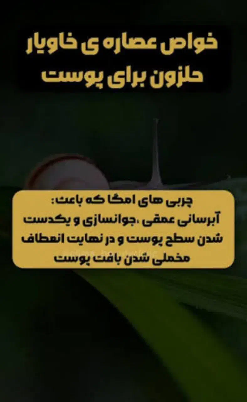 حلزون آلبینو|خزنده|شاهین‌شهر, طالقانی|دیوار