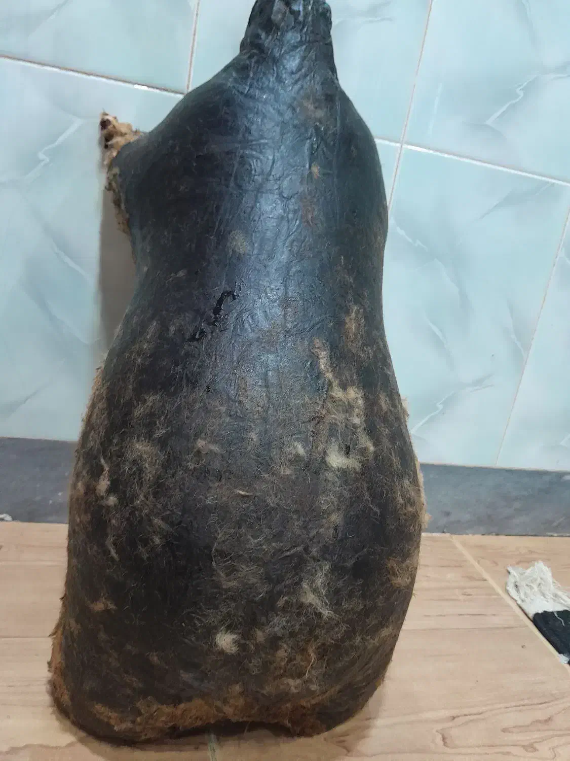 هیزه بزرگ|ظروف نگهدارنده، پلاستیکی، یک‌بارمصرف|اسلام‌‌آباد غرب, |دیوار