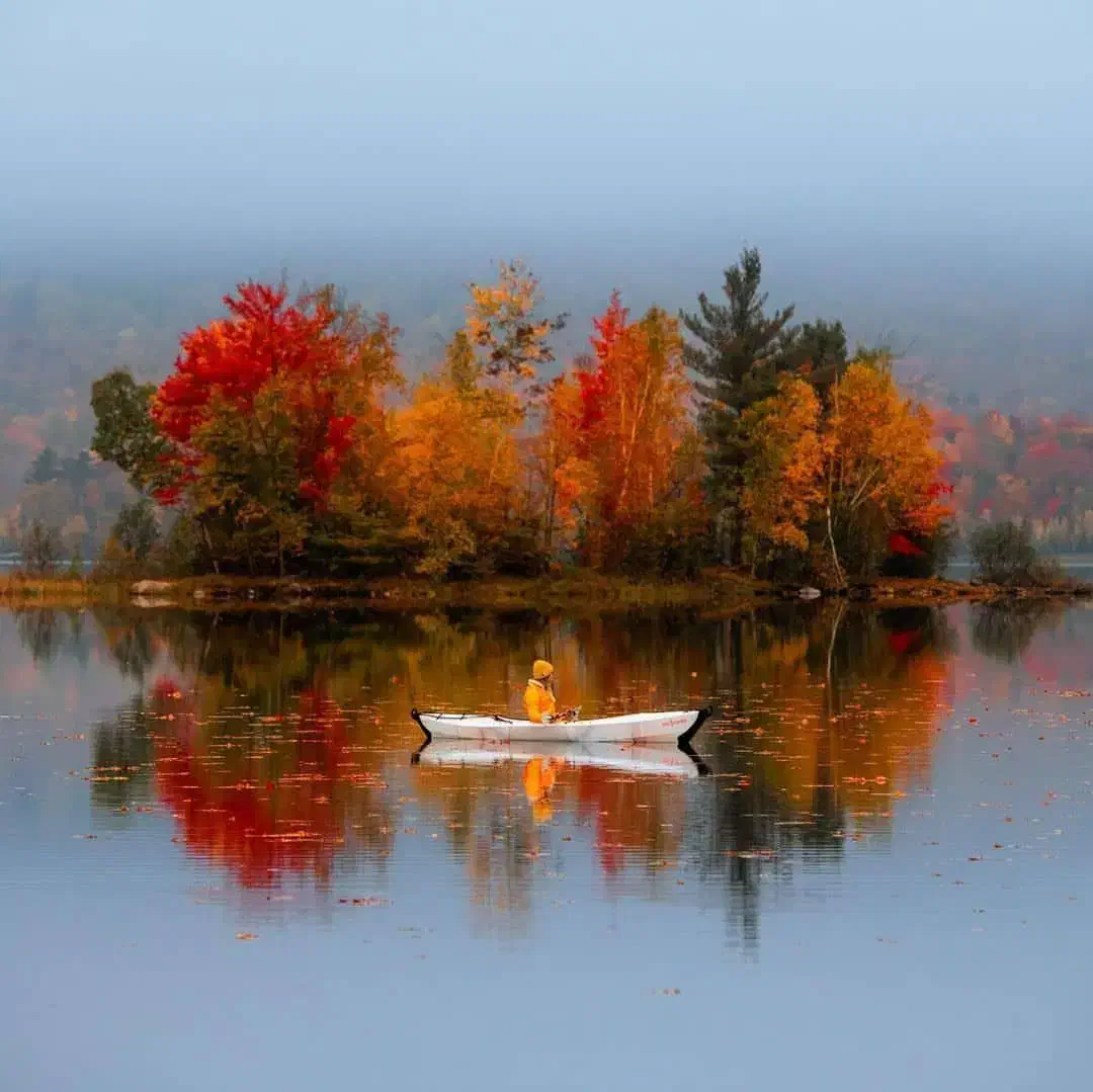 جویای کار|خدمات پیشه و مهارت|همدان, |دیوار