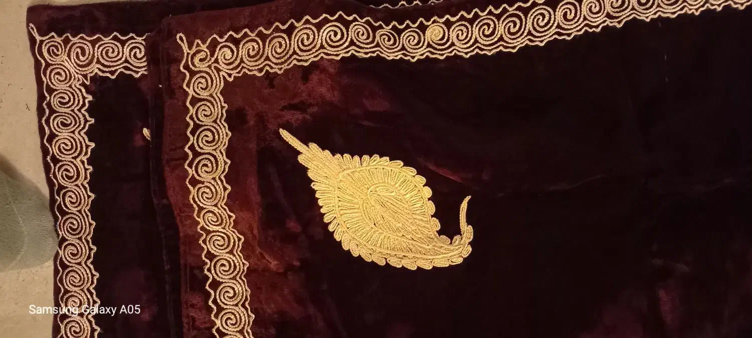 کوتوله بریزیلی  گم شده|حیوانات|رفسنجان, |دیوار