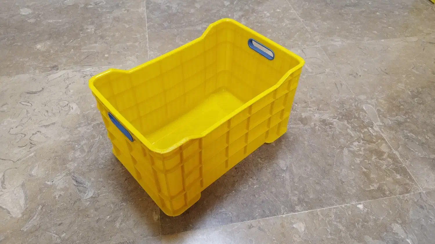 سبد صیفیجات ومرکبات|عمده‌فروشی|پاکدشت, پاکدشت (مامازند)|دیوار