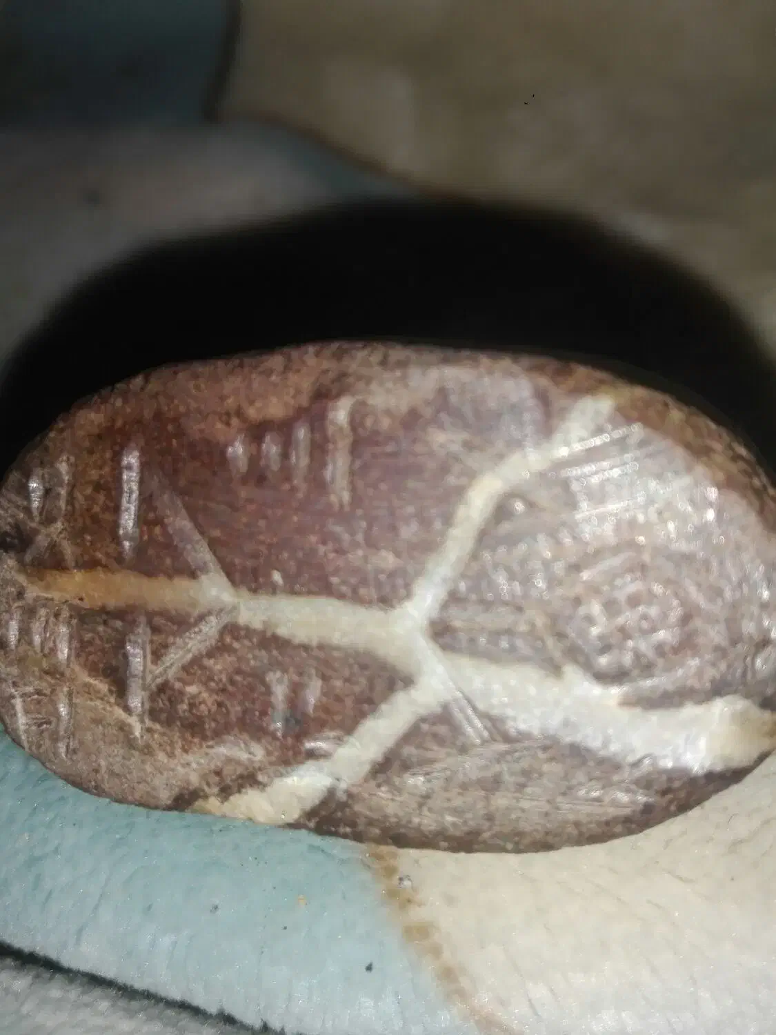 مهره ومجسمه سنگی|کلکسیون اشیاء عتیقه|شیراز, سلطان آباد|دیوار