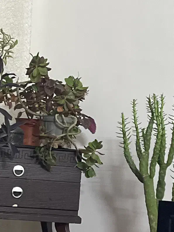 خط تلفن ثابت محدوده قاسم آباد|تلفن رومیزی|مشهد, امامیه (شهرک غرب)|دیوار