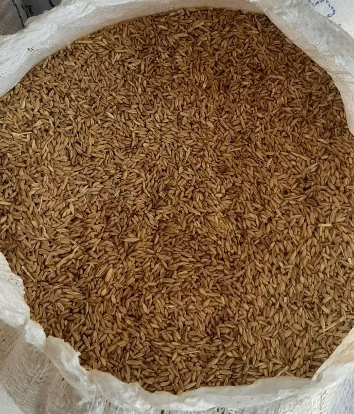 گندم|لوازم جانبی حیوانات|نهاوند, |دیوار