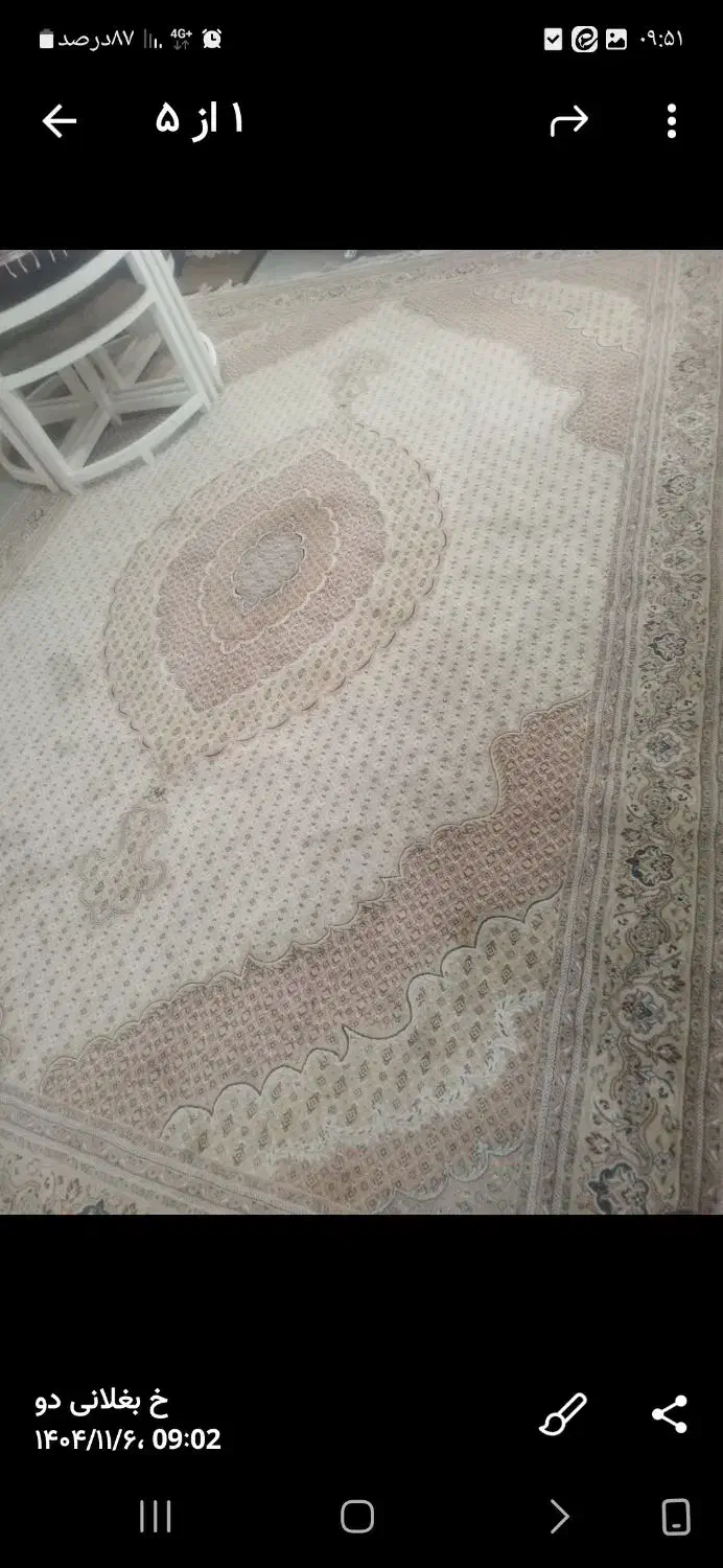 فرش ومبل|فرش|مبارکه, |دیوار