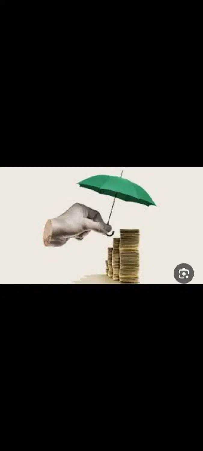 سرمایه|خدمات مالی، حسابداری، بیمه|فولادشهر, B1|دیوار