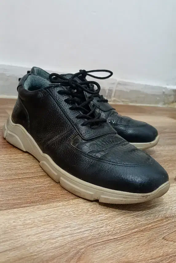 کتونی|کیف، کفش، کمربند|رشت, ساغری سازان|دیوار