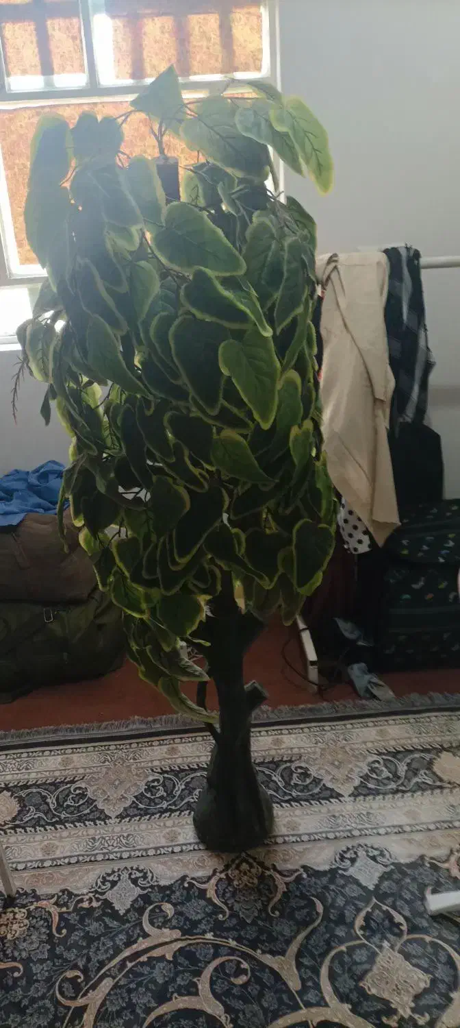 درخت دکوری|گل مصنوعی|بندر کنگان, |دیوار