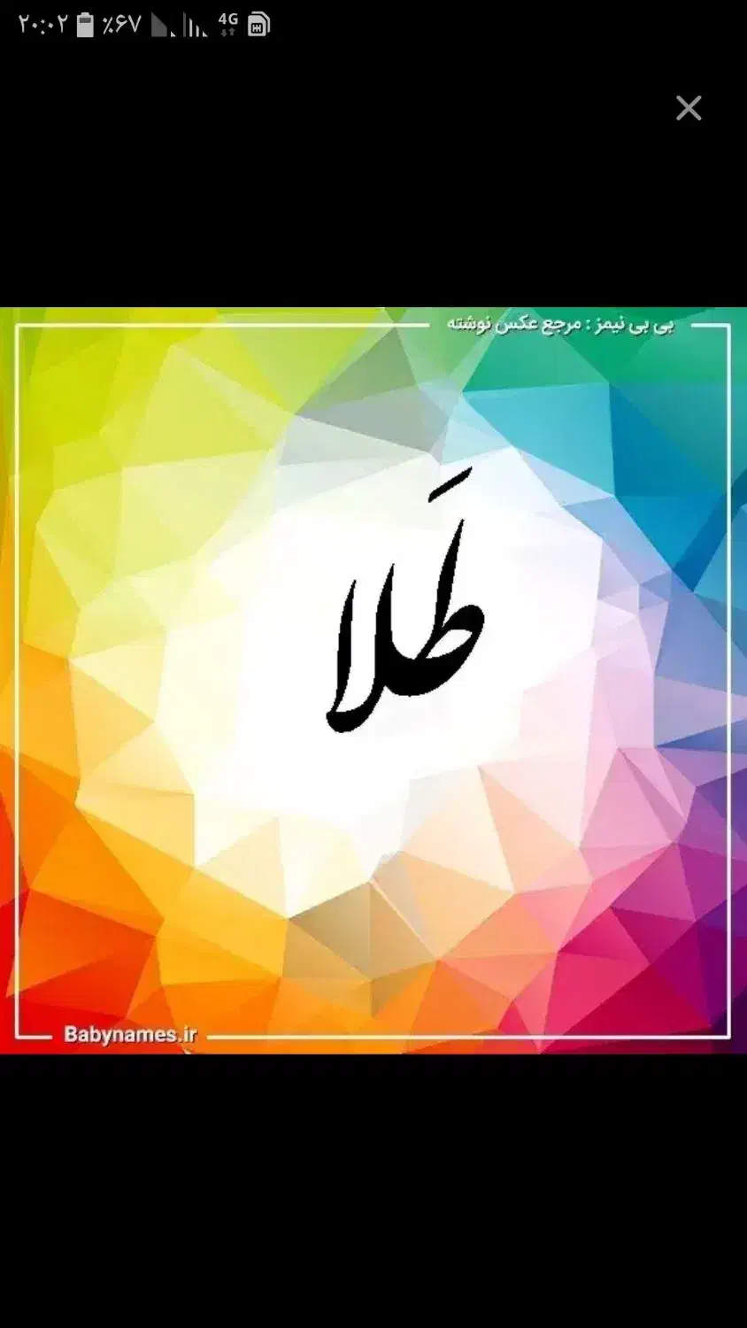 طلاپیداشده|اشیا|زنجان, |دیوار