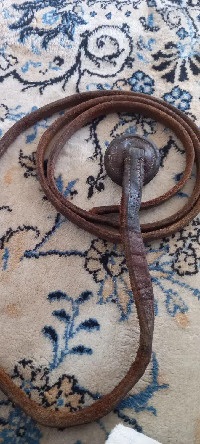 شلاق اسب سواری|اسب و تجهیزات اسب‌سواری|شیراز, شهرک قمشه|دیوار