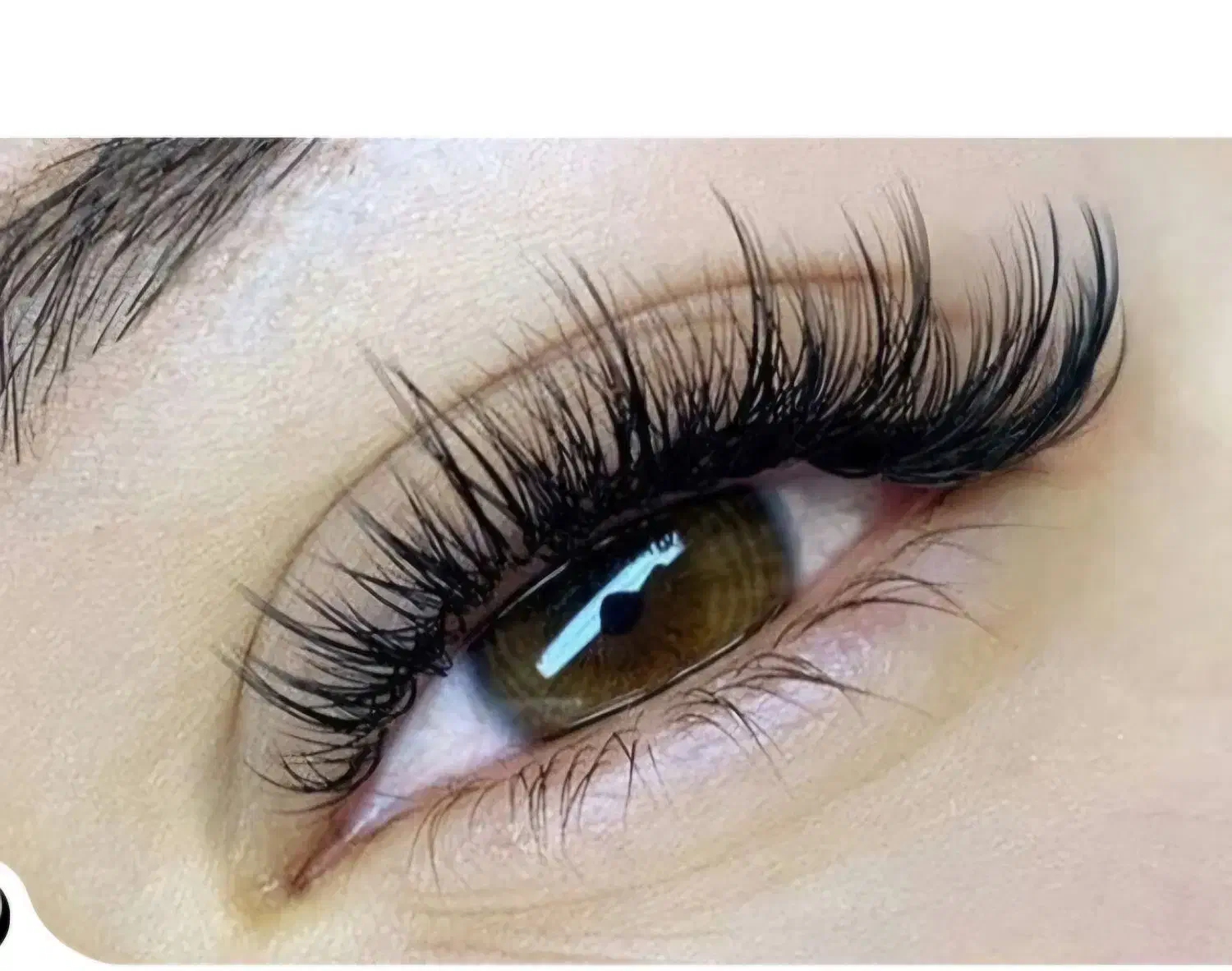 بلک فرآیدی، آموزشی اکستنشن مژه|خدمات آموزشی|فردیس, نسترن غربی|دیوار