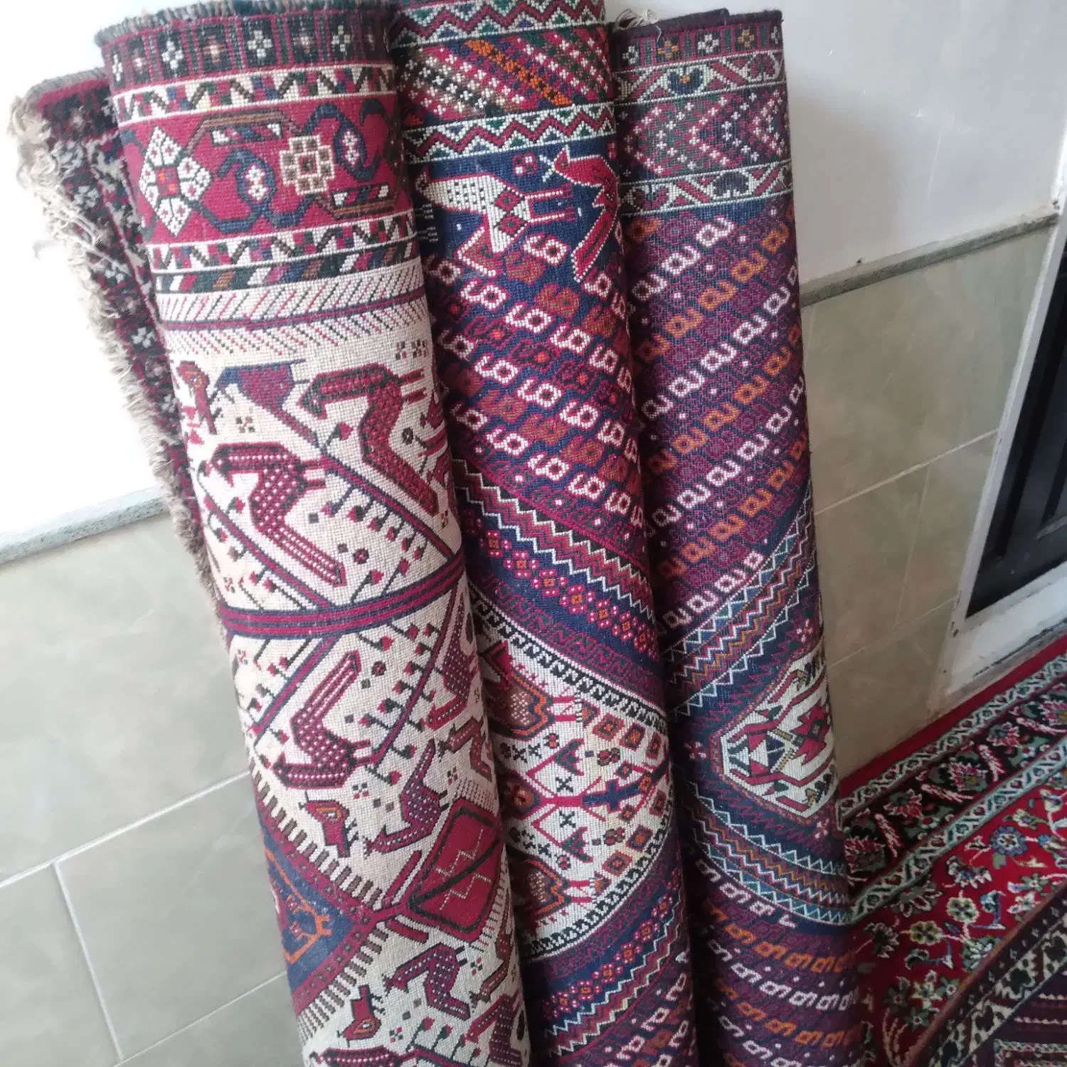 معامله انواع فرش دستباف وقالی دستبافت درب منزل|فرش|رفسنجان, |دیوار