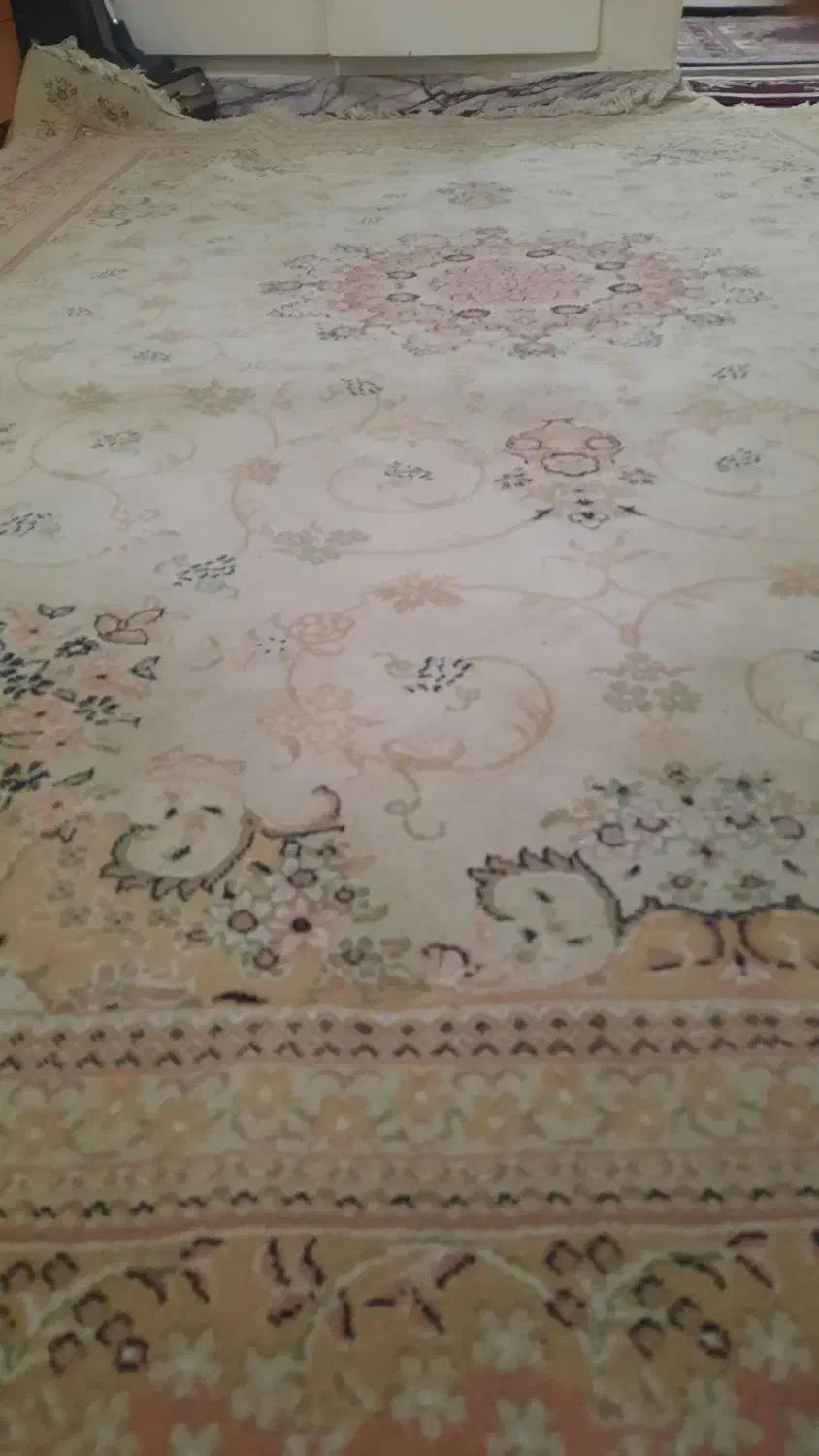 فرش ۶متری جفت همراه قالیچه و پادری|فرش|رشت, استادسرا|دیوار