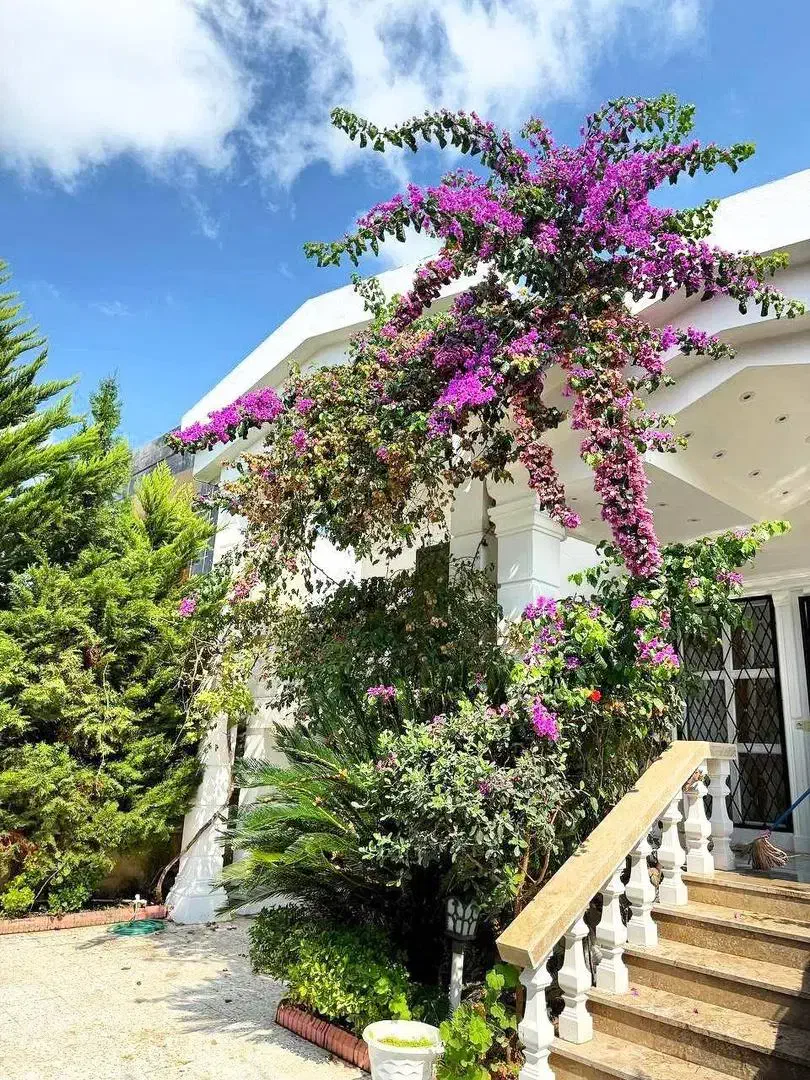 *باخرید این ویلا غم و غصه هات یادت میره*سند*حیاط|فروش خانه و ویلا|چمستان, |دیوار