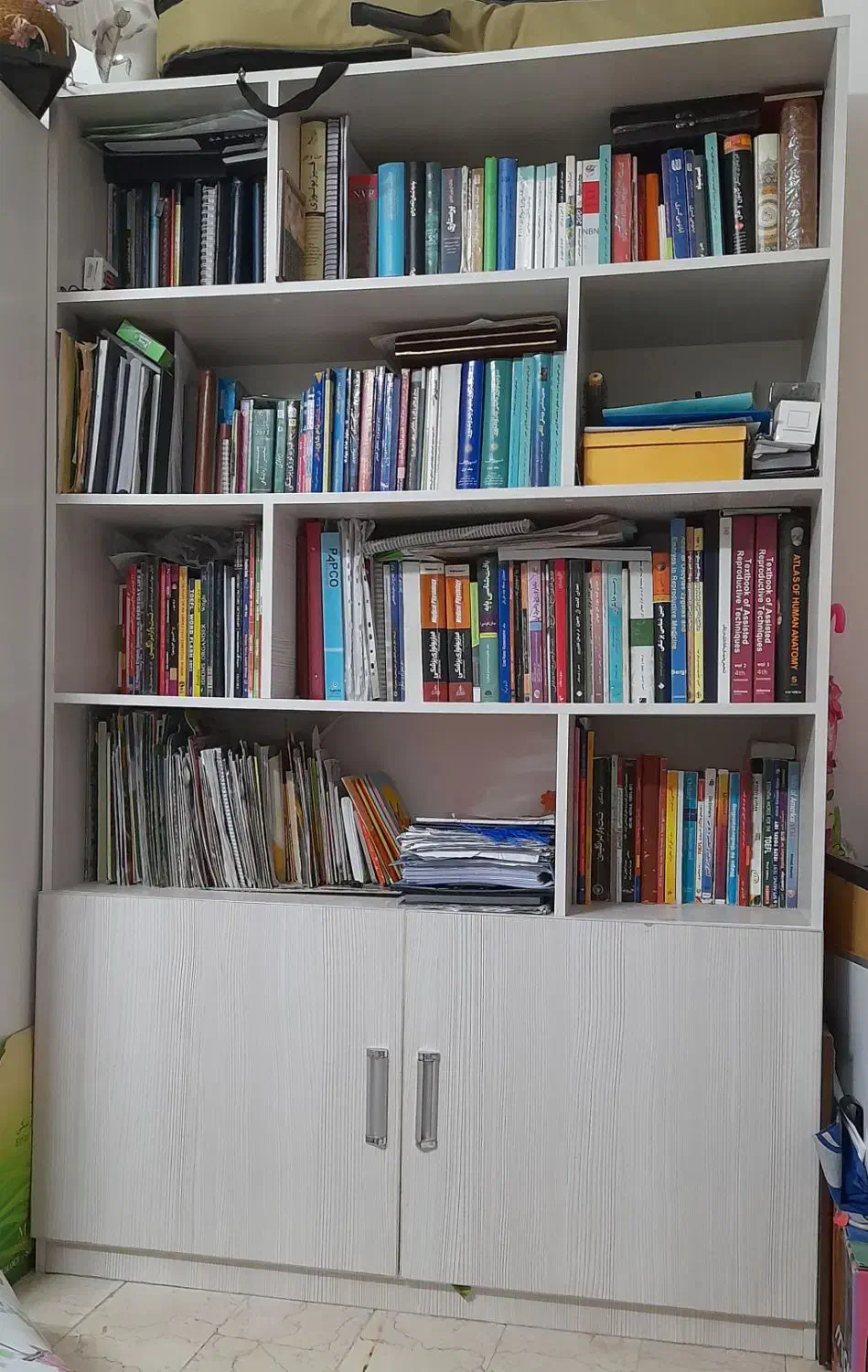 کتابخانه سالم و تمییز|کتابخانه، شلف، قفسه‌های دیواری|تهران, باغ فیض|دیوار