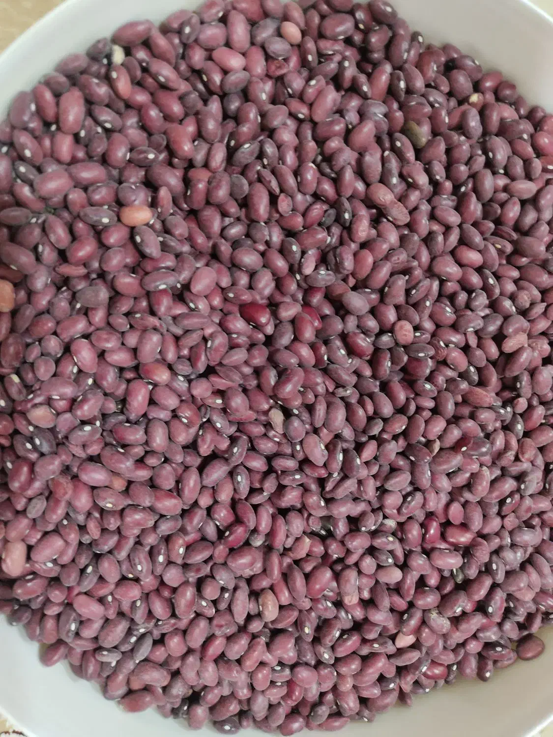 لوبیا قرمز|خوردنی و آشامیدنی|گرمخان, |دیوار