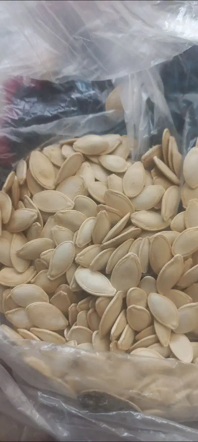 تخمه کدو|خوردنی و آشامیدنی|شیراز, ده پیاله|دیوار