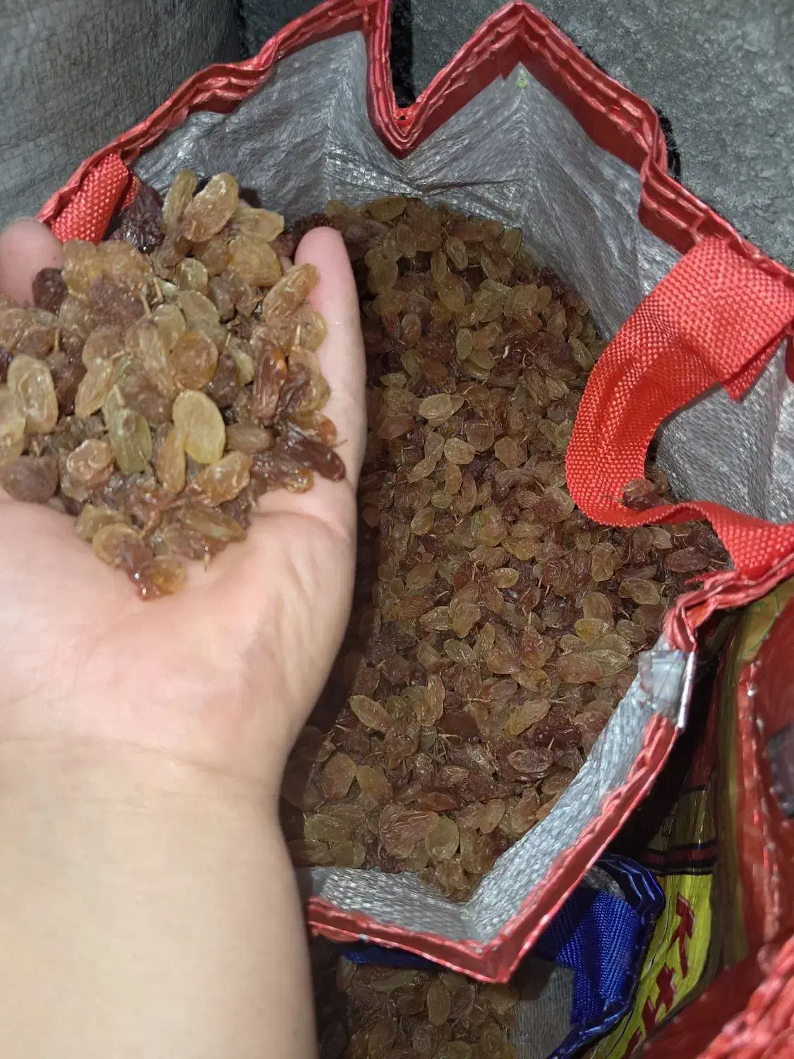 ده کیلو کشمش پلویی درجه یک کیلویی ۳۰۰|خوردنی و آشامیدنی|یاسوج, |دیوار