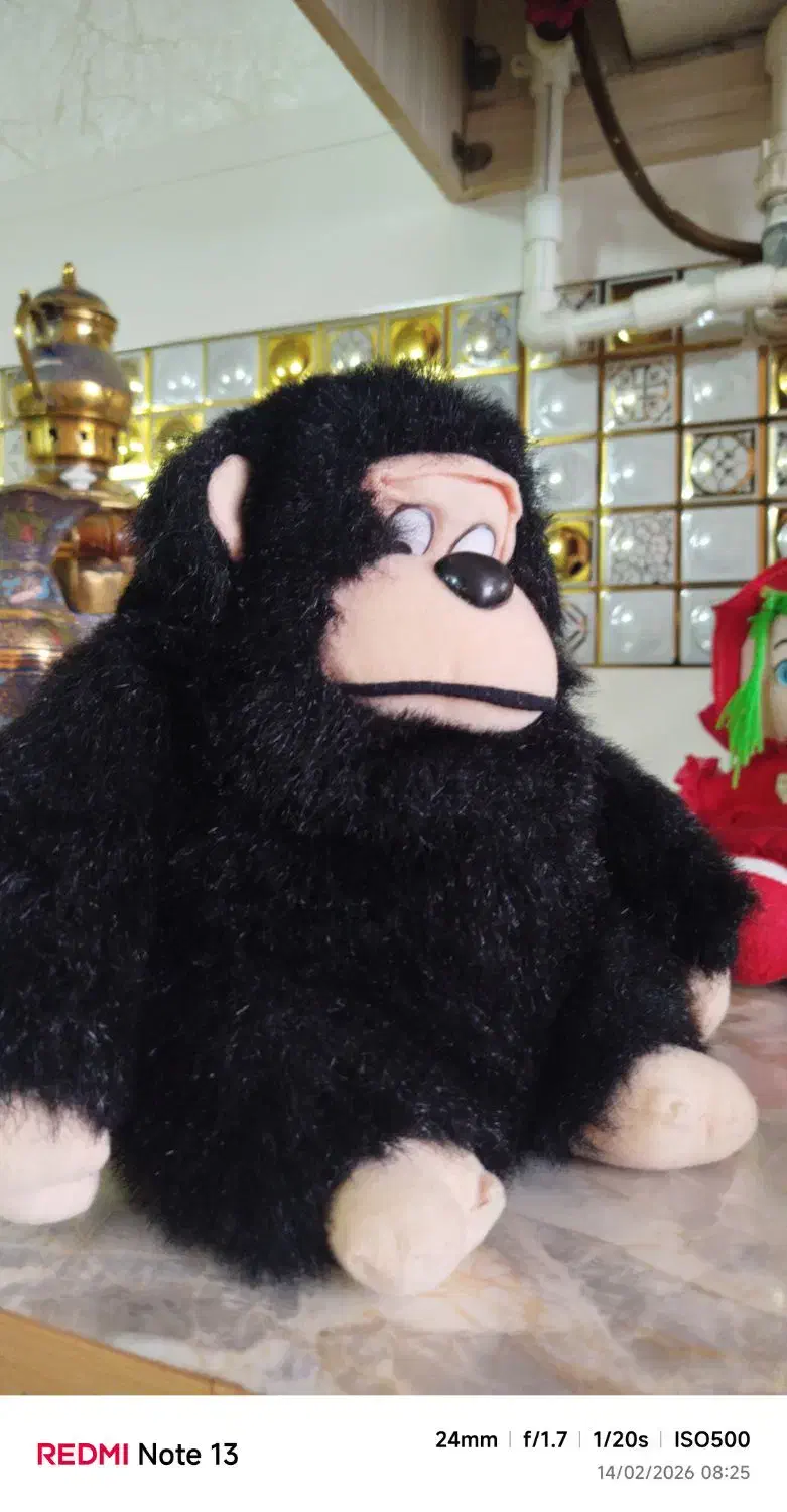 عروسک ‌|اسباب‌بازی بچه|مشهد, یاس|دیوار