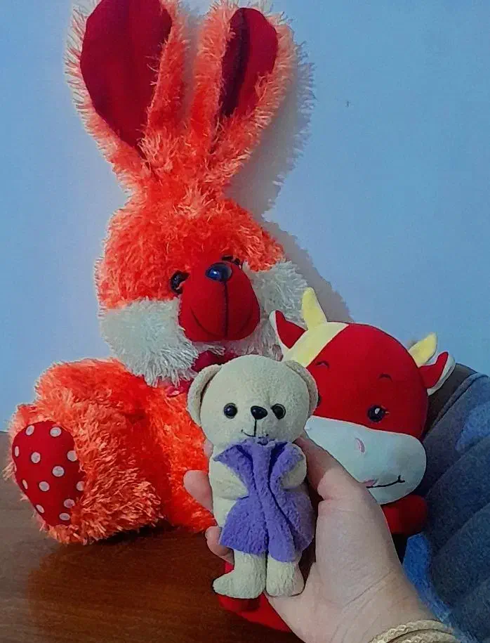 چندتا عروسک مناسب کادو و کوچولوها یکجا|اسباببازی|ارومیه, |دیوار